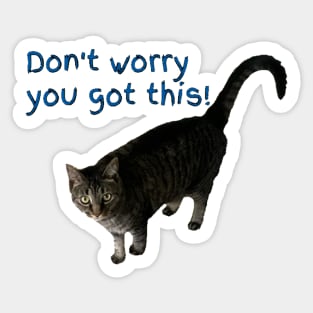 Don’t Worry You Got This (kitty) 2 Sticker